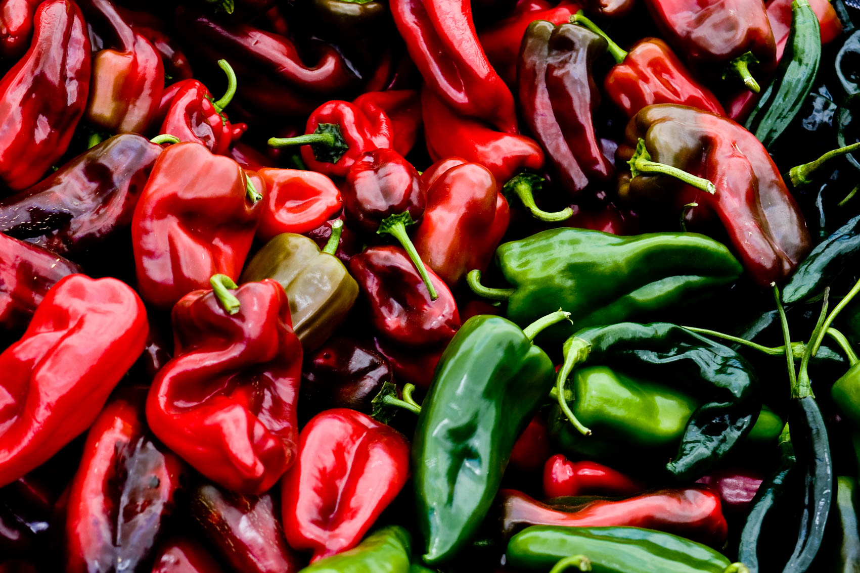 Farmer’sChiliPeppers#021R347