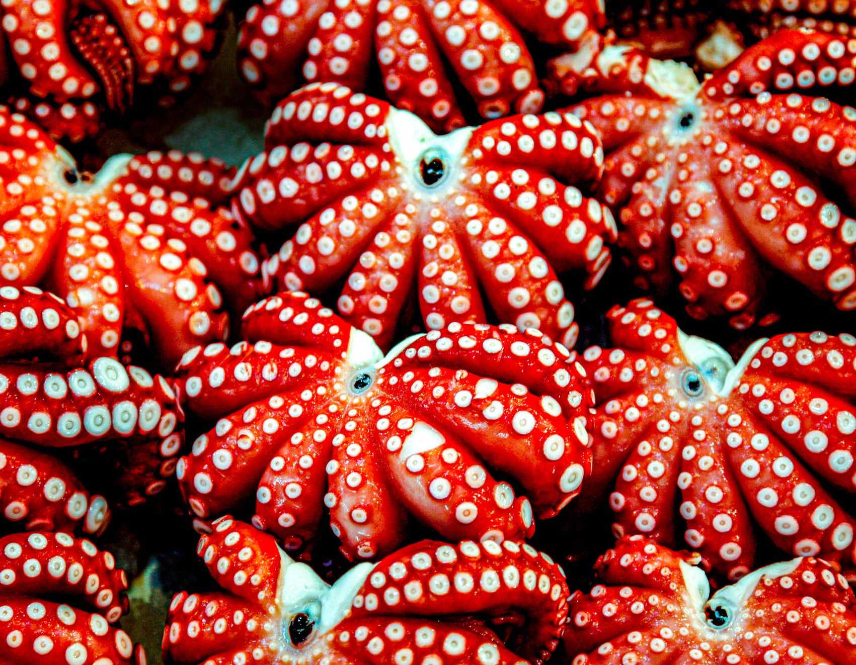 TsukujiMarket#001R307